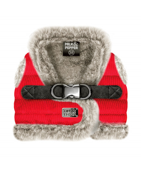 Milk & Pepper Julius Harness